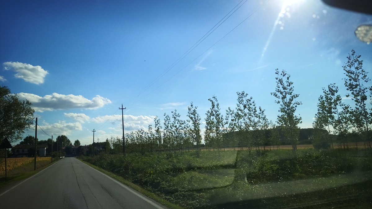 ostialostia's tweet image. Monday afternoon 
#fakeclouds #artificialclouds