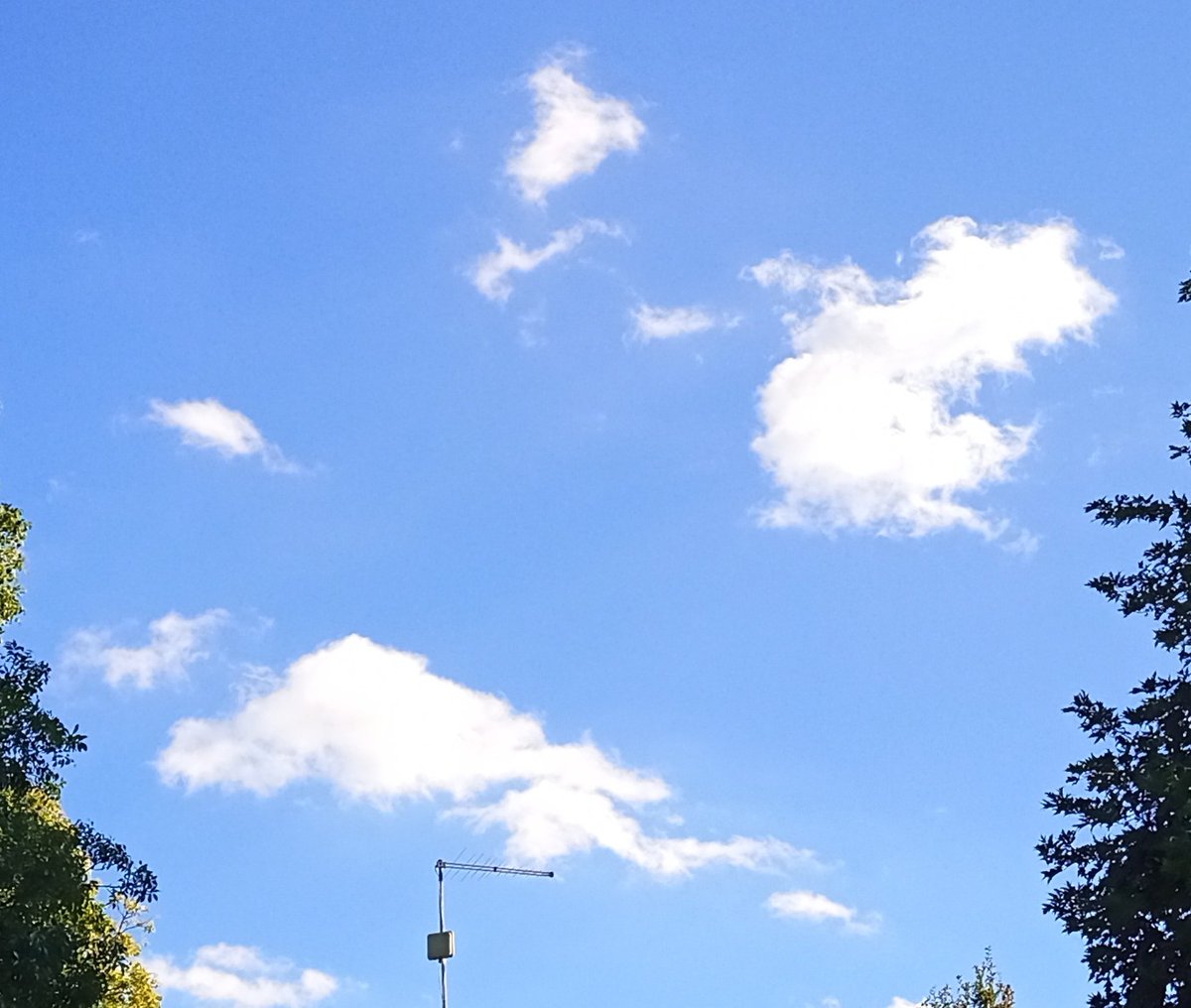 ostialostia's tweet image. Monday afternoon 
#fakeclouds #artificialclouds
