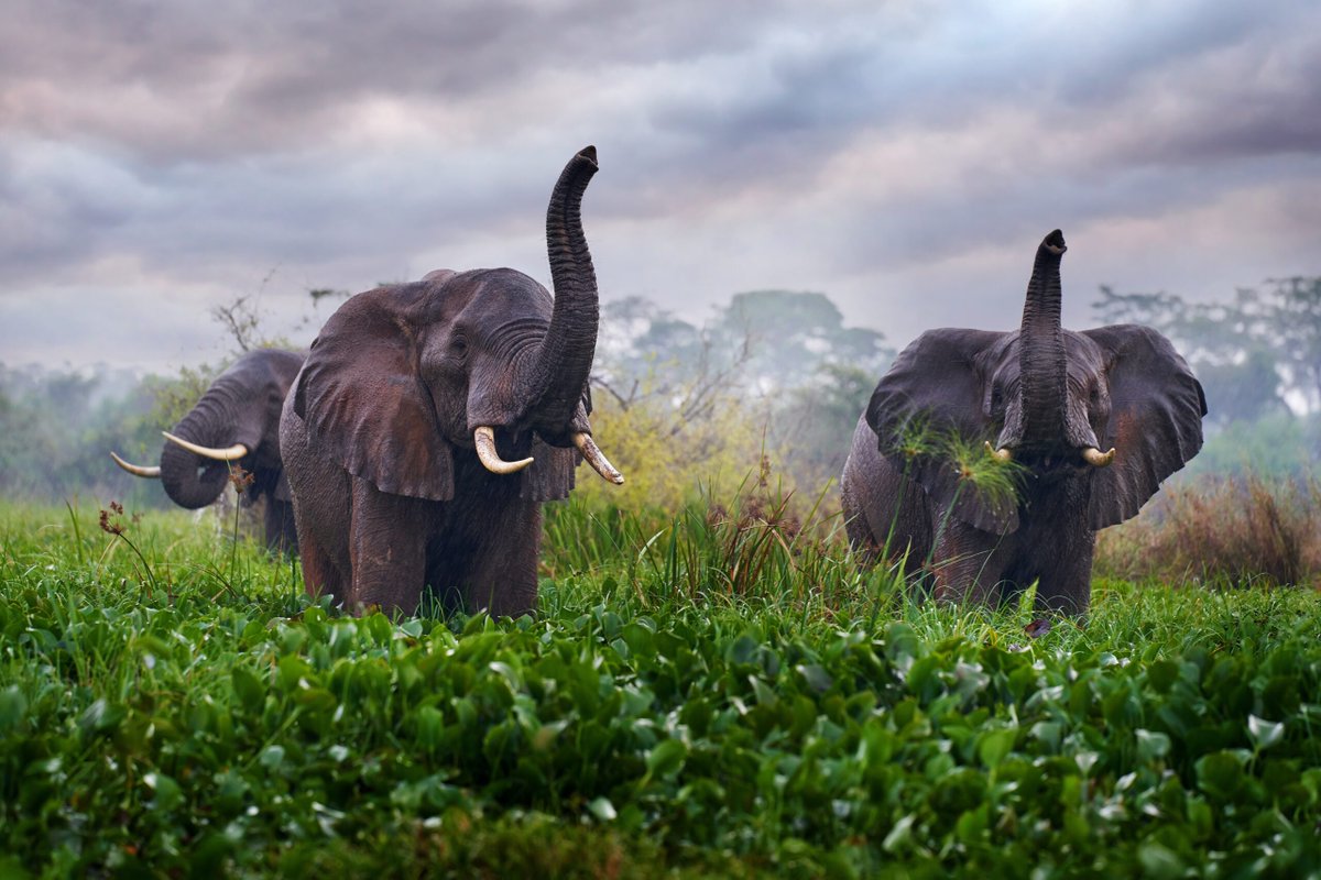 WebScaleDBA's tweet image. zurl.co/mYJw What are the possible scenarios for deadlock in PostgreSQL?
#PostgreSQL #PostgreSQLDBA #PostgreSQLTips #SQL #SQLTips #DBA #OpenSource #Cloud #DevOps
