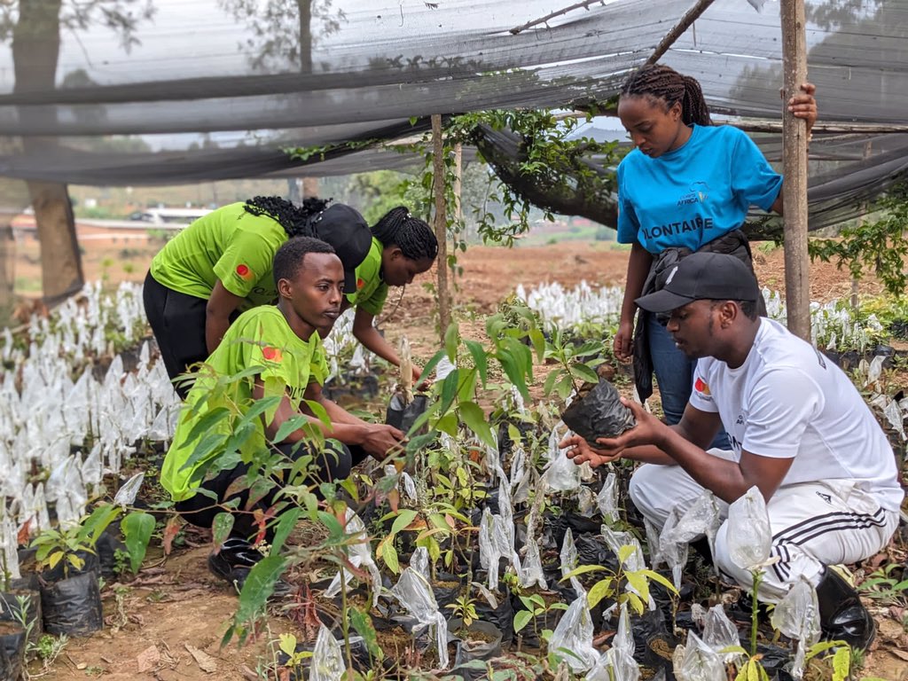 Ben_alpha1's tweet photo. "Cultivating the Future"
"Sowing Seeds of Sustainability"
"Where Agriculture Begins"
"From Seedlings to Success"
@CorpsAfrica 
@CorpsAfricaRda 
@MastercardFdn 
@BikorimanaVale9 
@RosaireIshimwe 
@patrick_mucyo 
@kucyaro 
@MSaintique123 
@teteRuth13 https://t.co/q7DETDoycK