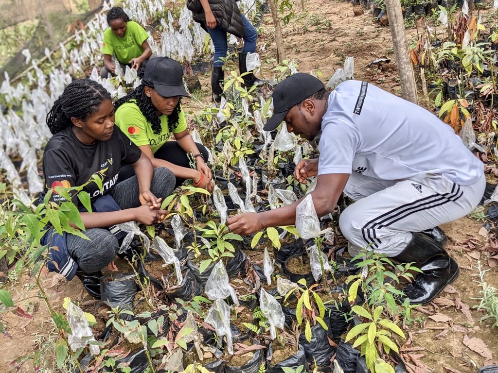 Ben_alpha1's tweet photo. "Cultivating the Future"
"Sowing Seeds of Sustainability"
"Where Agriculture Begins"
"From Seedlings to Success"
@CorpsAfrica 
@CorpsAfricaRda 
@MastercardFdn 
@BikorimanaVale9 
@RosaireIshimwe 
@patrick_mucyo 
@kucyaro 
@MSaintique123 
@teteRuth13 https://t.co/q7DETDoycK