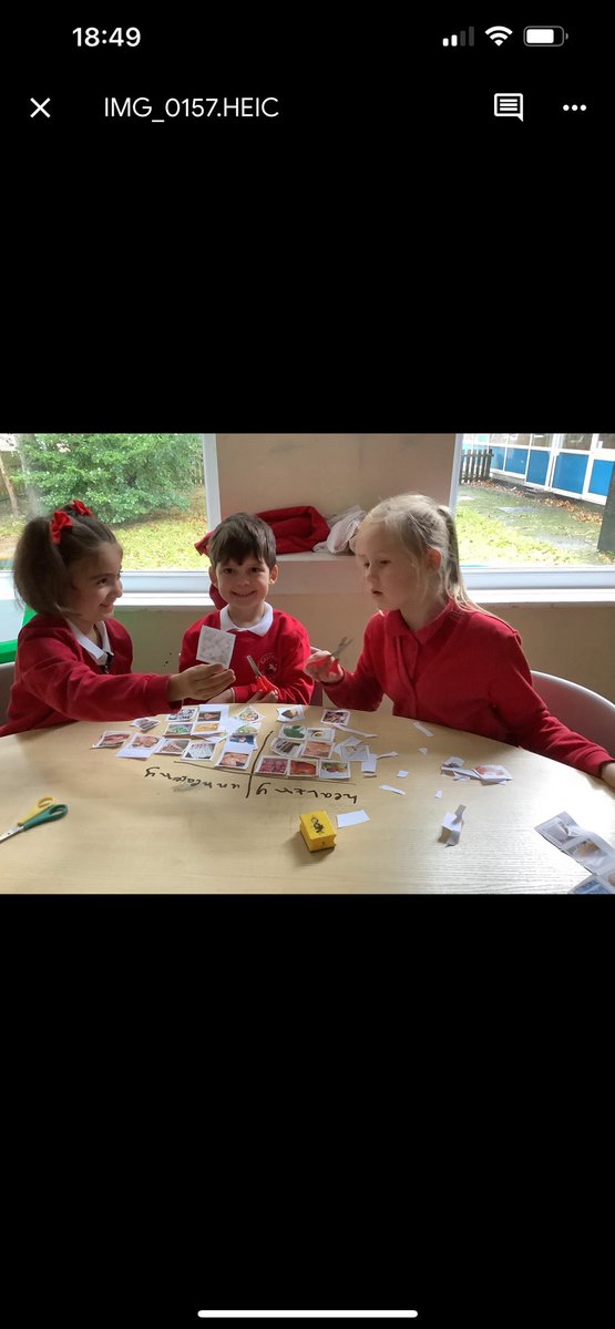 EastwayPrimary's tweet photo. In science today, Year 2 were deciding what foods were healthy and unhealthy. We found out that different groups of food help our bodies in different ways. We also noticed that healthy foods have many colours! #EatTheRainbow #EastwayScience #ScienceTalk #LookingAfterOurselves https://t.co/ThKdrzHR9Y