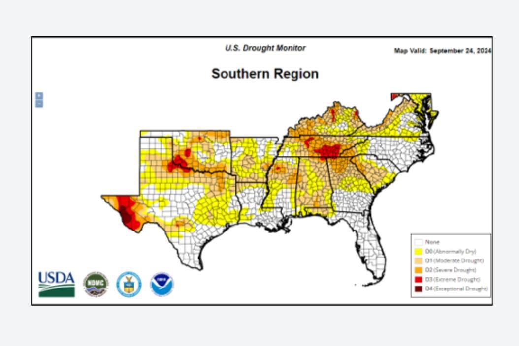 Farmers and ranchers across southern states have been effected by drought in recent years. By adopting the USDA's Pasture, Rangeland, and Forage Insurance, producers are being supported during these challenging times.  <a href="/SouthernAgToday/">SouthernAgToday</a> 

southernagtoday.org/2024/09/12/inc…