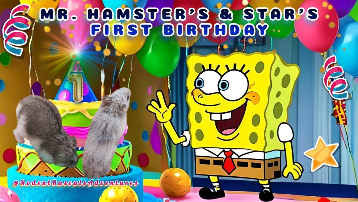 RodentRascals's tweet image. 🆕️🎂🐹 DON&apos;T MISS OUR SURPRISE 1ST BIRTHDAY PARTY RIGHT NOW ON OUR YOUTUBE CHANNEL!!!! #dwarfhamsters #SpongeBob #HappyBirthday #hamster #hamsters #surprise #party #joinus #AdventureAwaits 
❤️🐹🐽🐀💻⬇️
#RodentRascalsAdventures