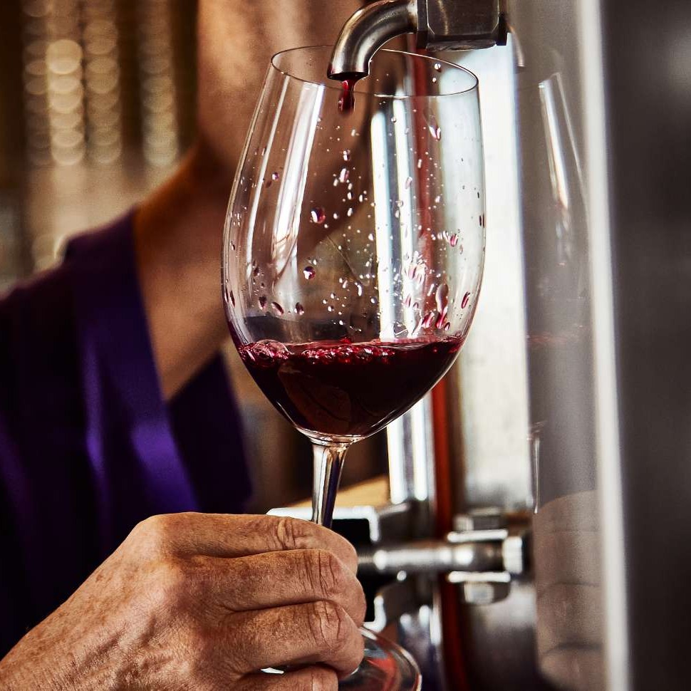 El mosto de las primeras uvas de la vendimia ya han empezado el proceso de fermentación alcohólica en los depósitos de acero inoxidable. La calidad de la uva en el campo y del mosto en la bodega augura que la cosecha de 2024 para Bodegas Nexus Frontaura volverá a ser excepcional.