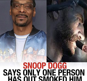 hellforag13's tweet image. this shit real asf