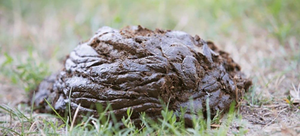 woundedUgandan's tweet image. Another #Kiteezi