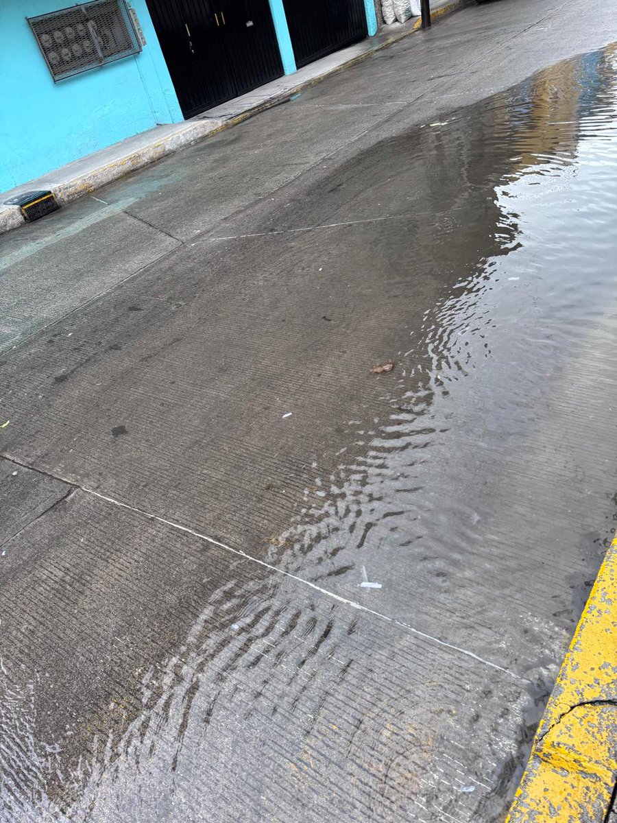 chatocuervo's tweet photo. @ODAPAS_NEZA @GobNeza coladera tapada en calle fco Carbajal esquina av tres culturas col lázaro cardenas https://t.co/sCYdeH07nI