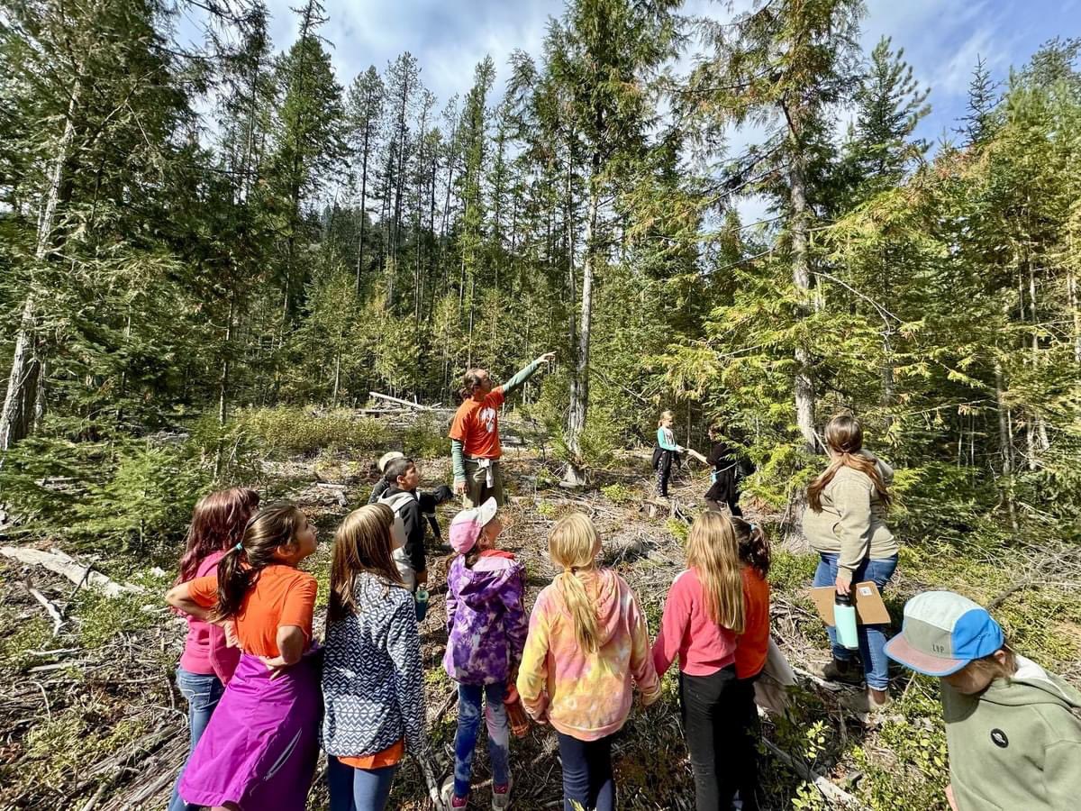 Half of all #communityforests in BC are held by First Nations or a partnership with First Nations, making them a valuable pathway toward reconciliation and Indigenous-led forest management. #nationaltruthandreconciliationday