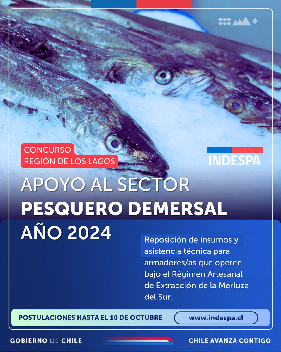 ¡Atención región de #LosLagos! Ya abrimos el concurso Apoyo al Sector Pesquero #Demersal Región de Los Lagos 2024, para apoyar a organizaciones de armadores/as artesanales de la región afectados con pérdida de material en una interacción operativa negativa con el lobo marino