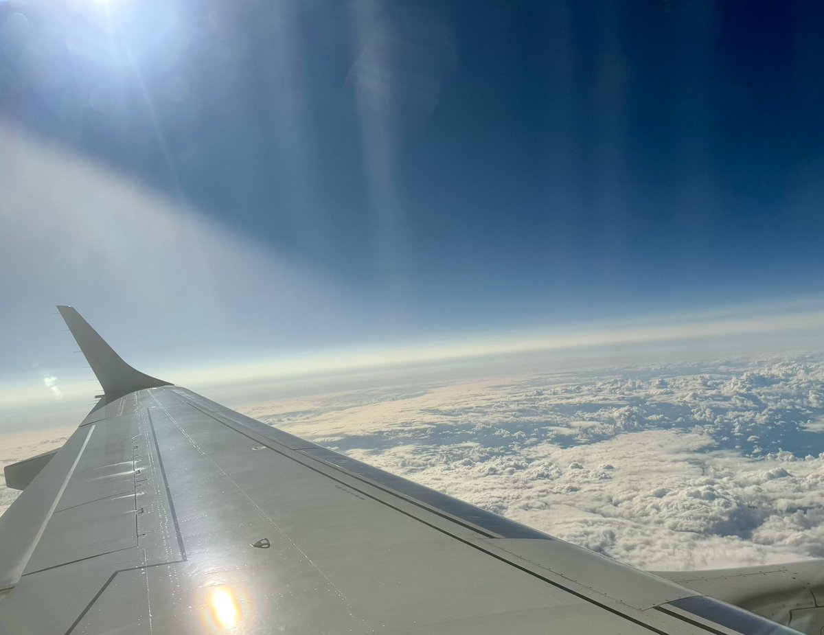 Elara J Brooks tweet media