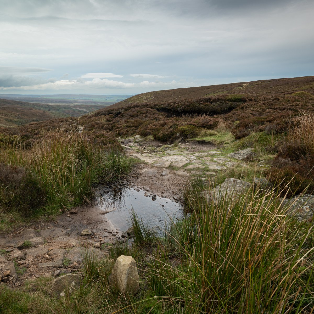 Langsett 1 #photography #landscape #Yorkshire #Penistone #Pennines #PeakDistrict  #7km  #Flâneur #psychogeography #DarkFairytale #RuralMarginalia  #SonyFE1635PZf4