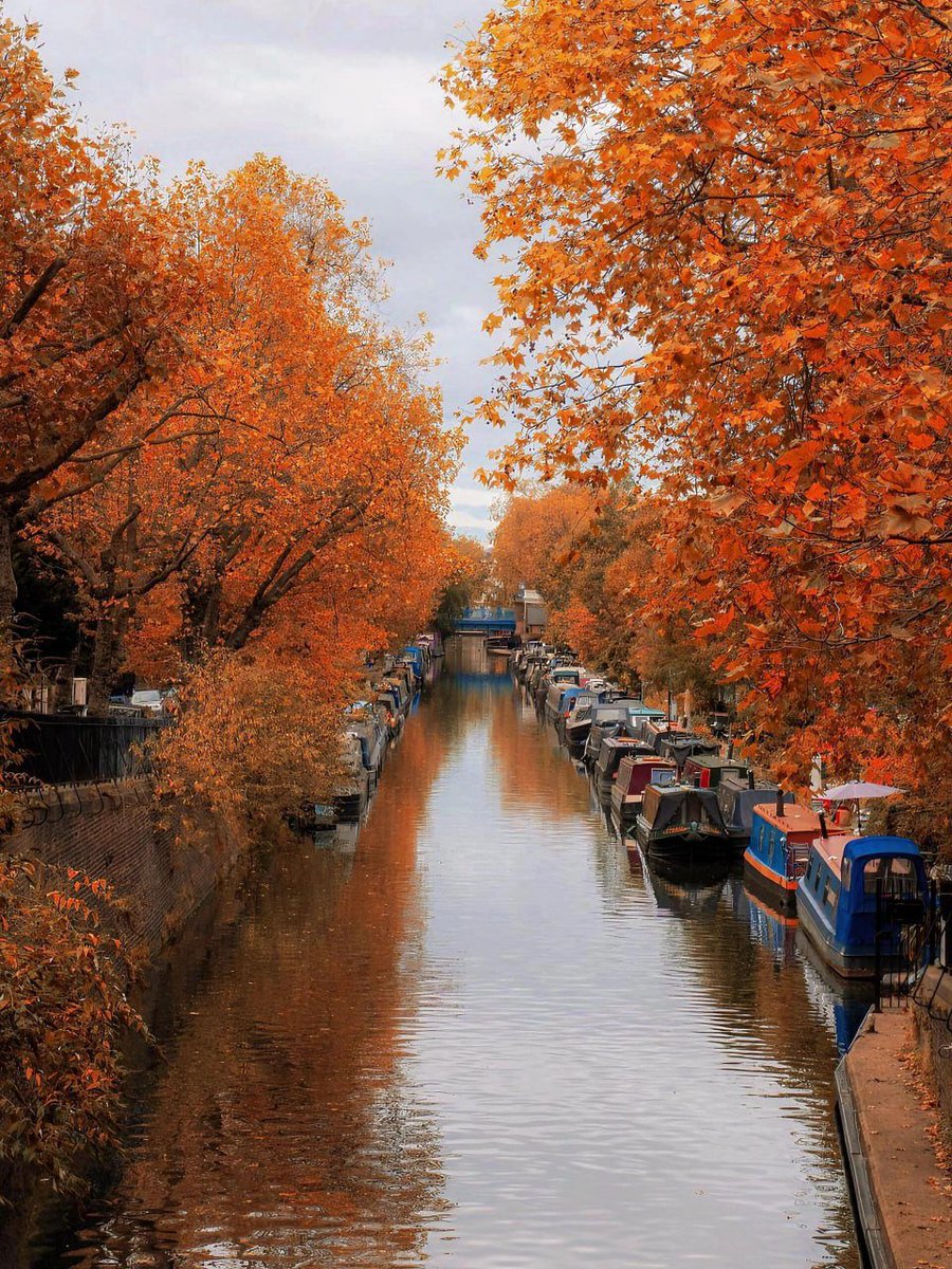 elmo51998's tweet photo. This is what the UK will look like in the future 🍁 Things you must do in London in autumn! https://t.co/CAv6UMluDr