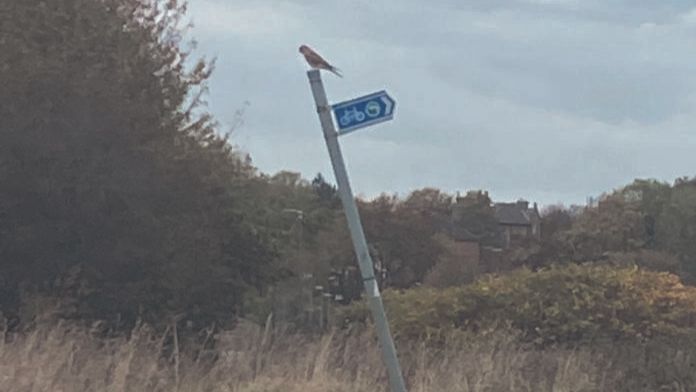 It's been a good week this week. We crammed a month's worth of gallery trips in and a month's worth of writing about it too. So this newsletter is quite rammed (a lot of reading, but a more useful itinerary than usual).

Update &amp; What's On - mailchi.mp/8c5c33df20dc/a…