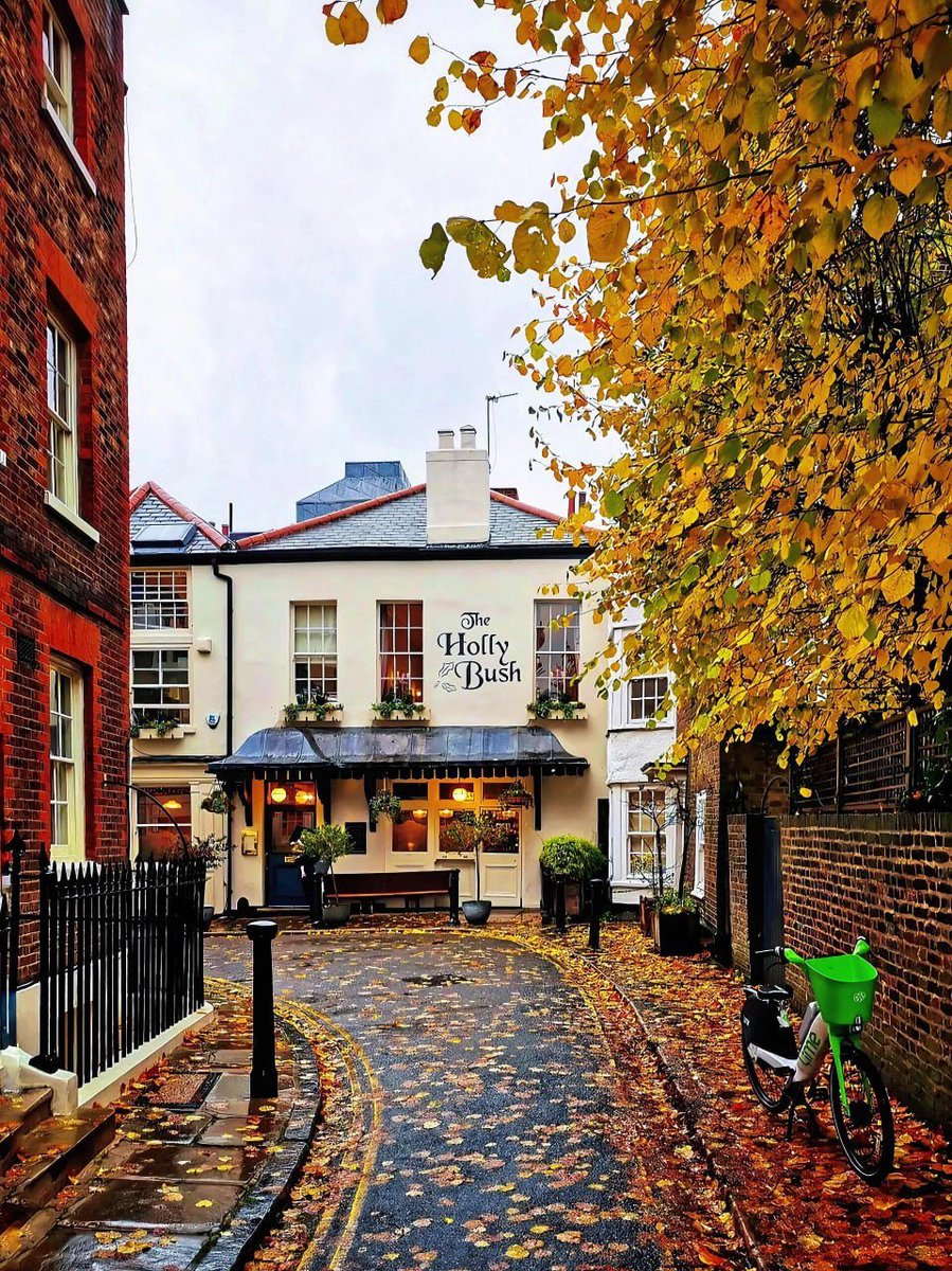 elmo51998's tweet photo. This is what the UK will look like in the future 🍁 Things you must do in London in autumn! https://t.co/CAv6UMluDr