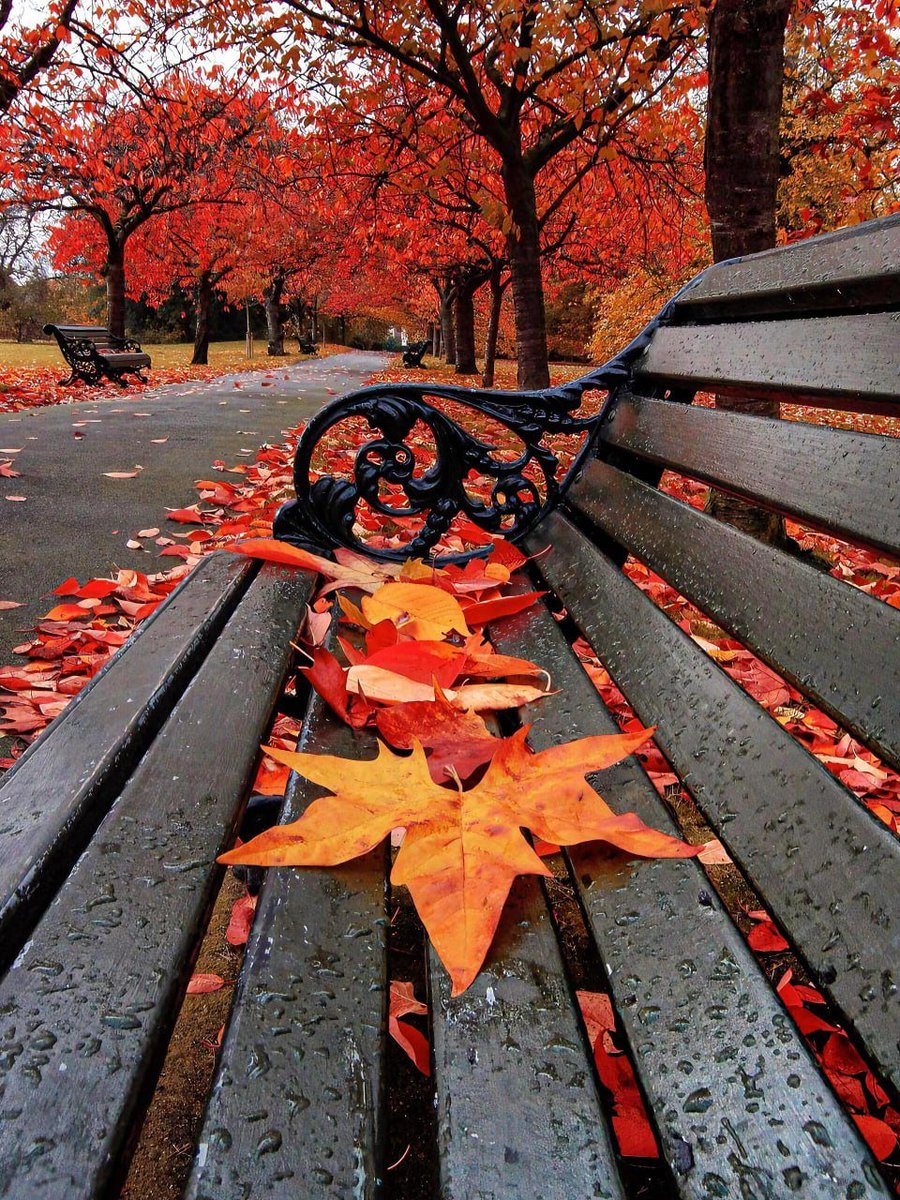 elmo51998's tweet photo. This is what the UK will look like in the future 🍁 Things you must do in London in autumn! https://t.co/CAv6UMluDr
