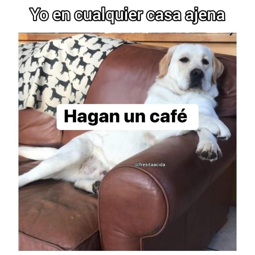 Memes Universidad Nacional (@nacional_memes) on Twitter photo 