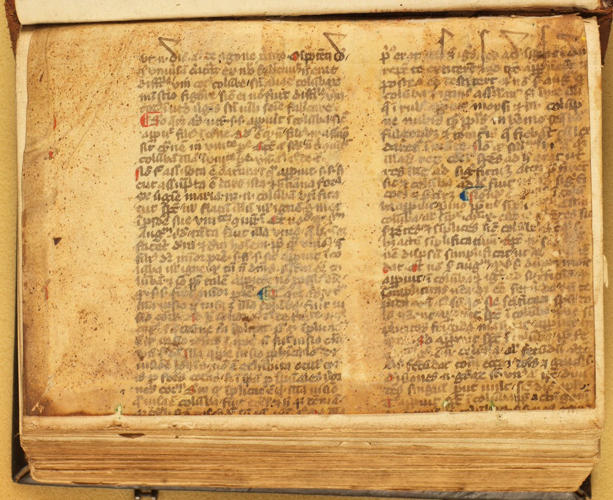 Pieter Beullens tweet media