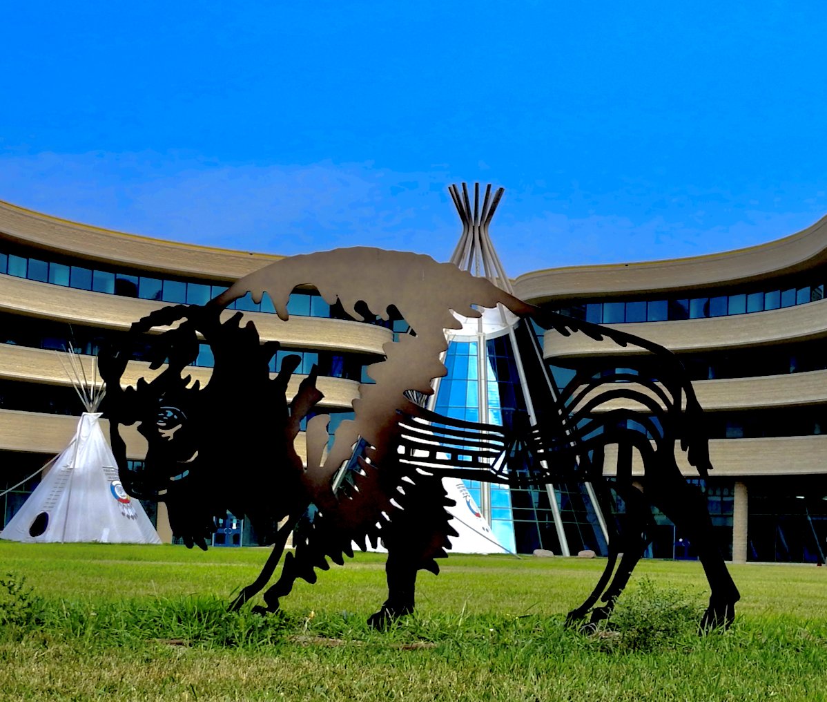 Iain Lawrence tweet media