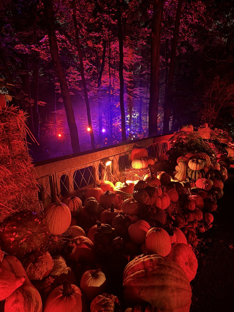 Harvest Nights presented by @everwise_ce is officially here! Celebrate the season with fall scenery in The Garden, Rocky Horror Picture Show &amp; Practical Magic screenings, hunting for Garden Monsters, and getting tickets to Harvest Nights 🎃 🍂

#DiscoverNewfields #NewfieldsToday