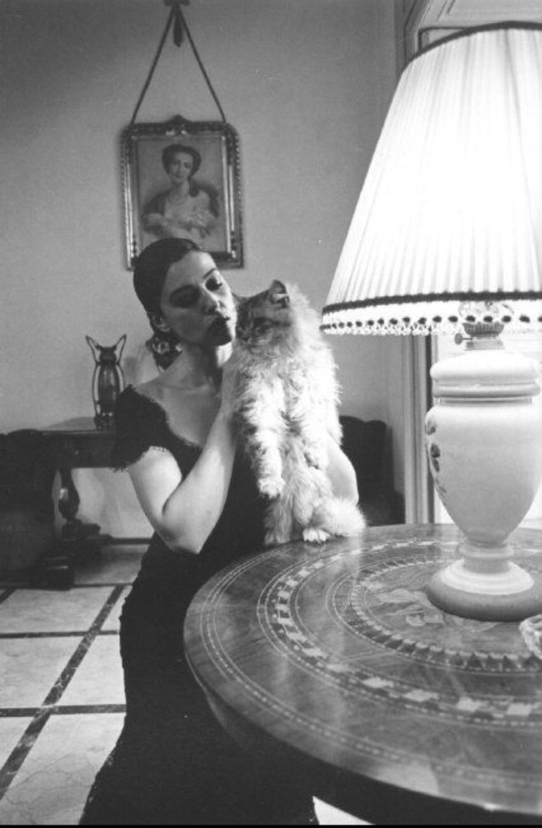AGiuliaFiorillo's tweet photo. 🐈‍⬛🖤✨
#MonicaBellucci #buoncompleanno #60anni #oggi #lapiubella #mostbeautifulwomanever #diva #iconica #foto #biancoenero #gatti https://t.co/v3ptXLDKEG