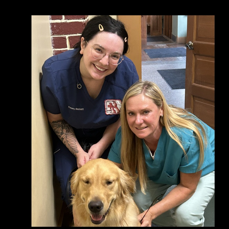 WheelingParkHS's tweet photo. Had a check up with Dr. Stoehr and our friends at Wheeling Veterinary Associates.

Thank you for keeping our guy healthy! https://t.co/6jhQyy7xYY