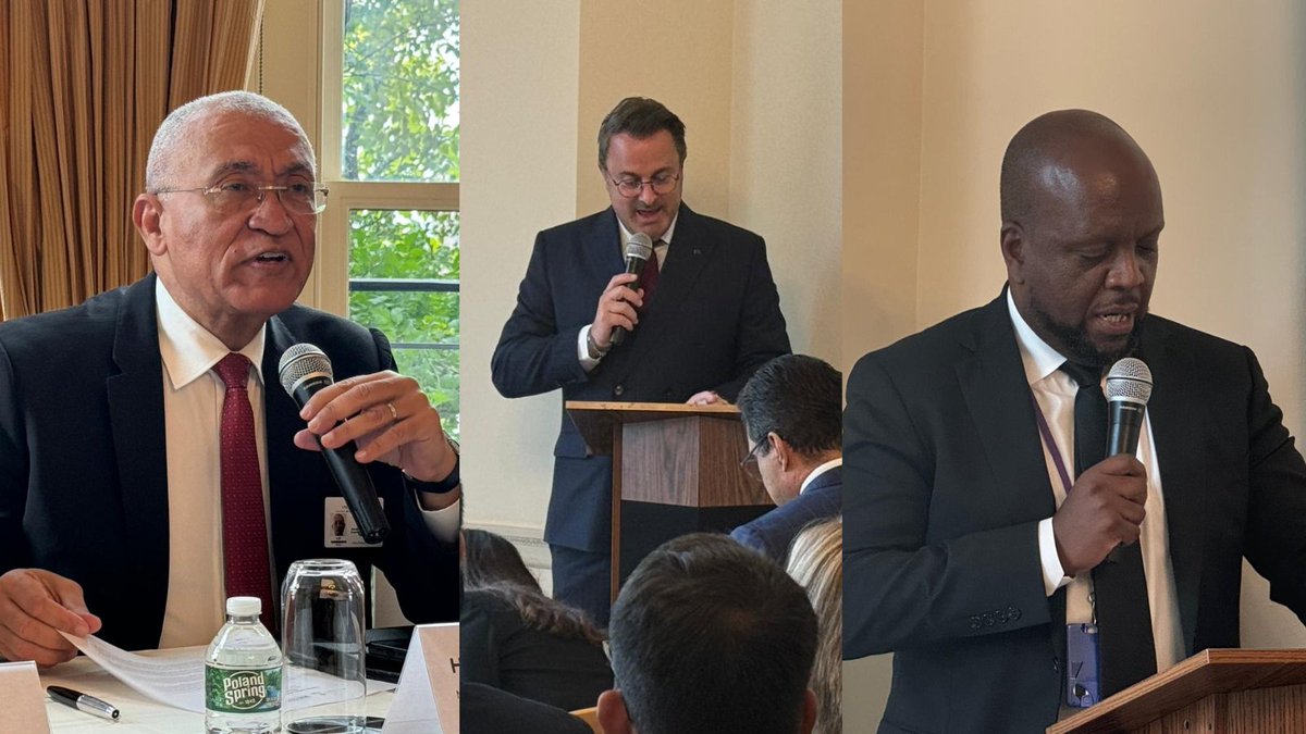 International IDEA @ the UN tweet media