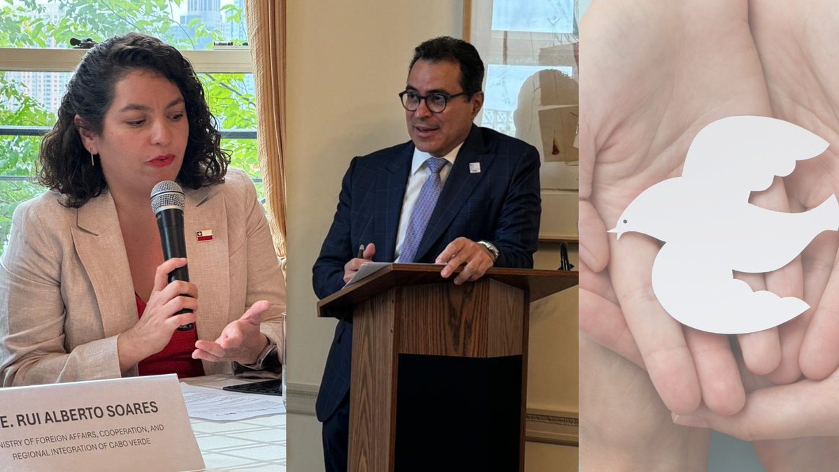 International IDEA @ the UN tweet media