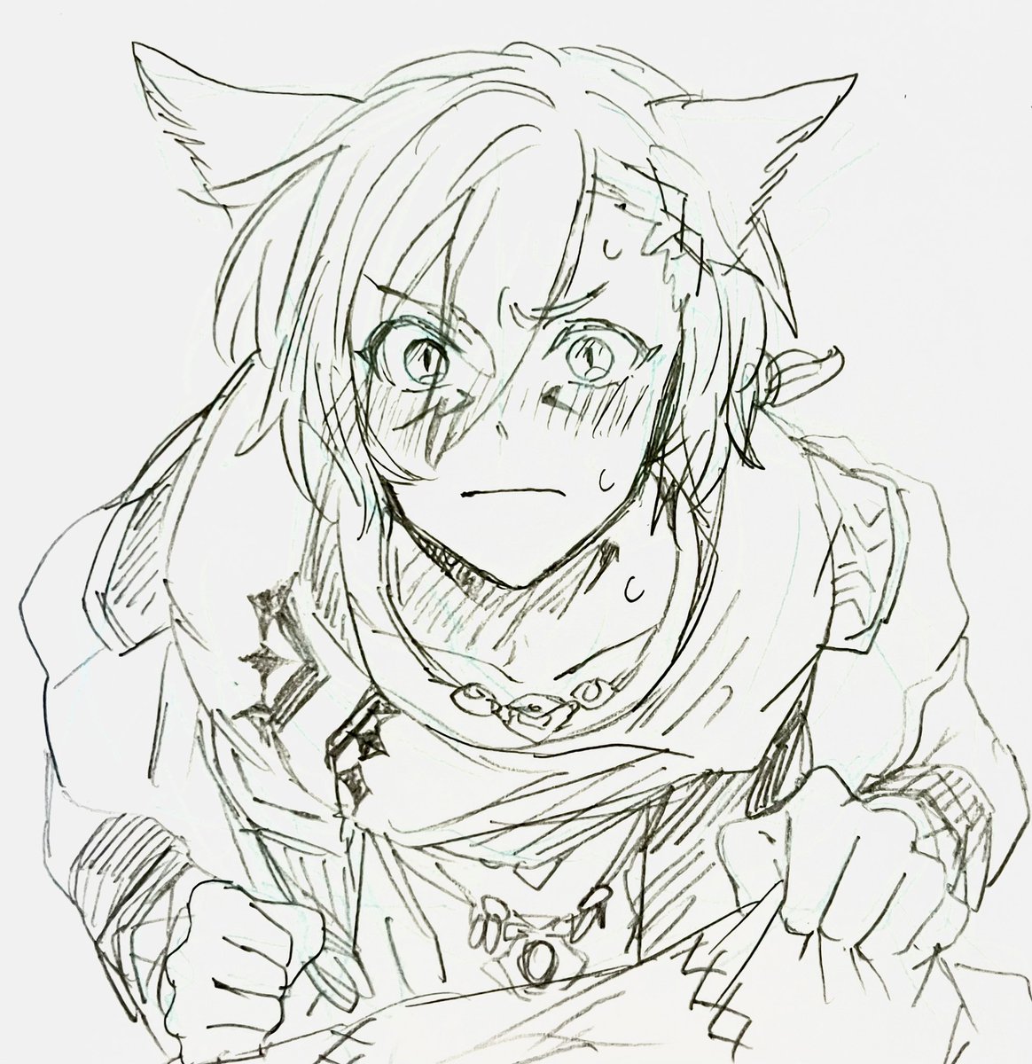 hitodekun_hs14's tweet photo. 見上げラハくん https://t.co/iRj5VNGNd4