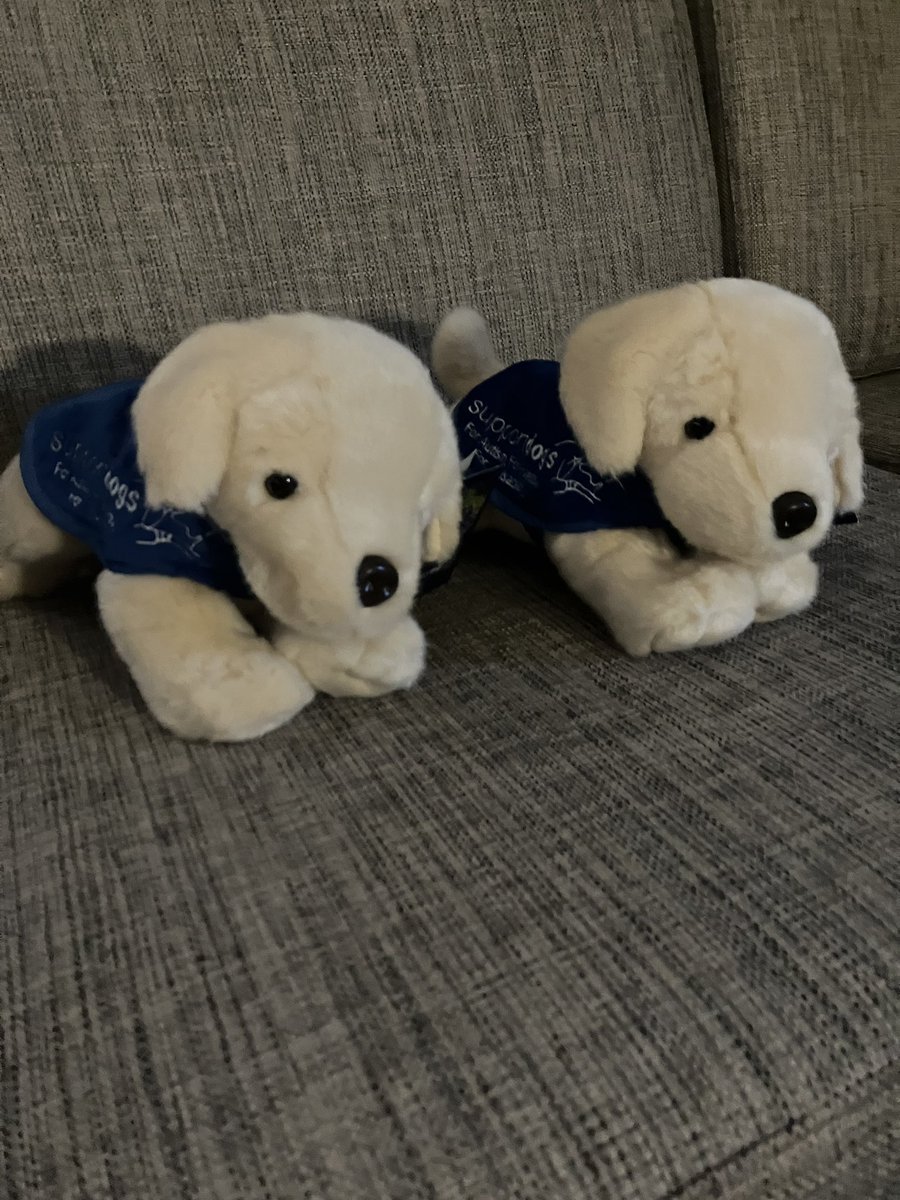 Med_Solicitors's tweet photo. Thank you @SYMedicoLegal for a great night on Saturday at the charity ball in aid of @supportdogsuk
Amy and Lynsey from our Hull office had 2 cute pups join them on their return to Humberside! 
Get yours here https://t.co/4KS84X5B7R https://t.co/VlEocekxsl