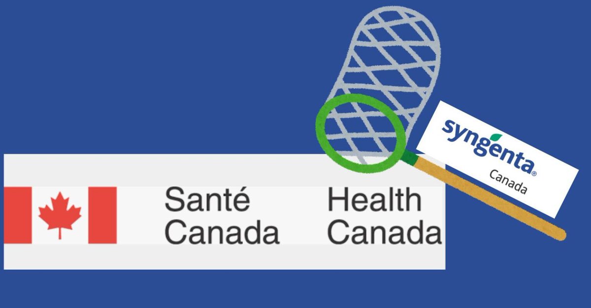 SafeFoodMatt's tweet photo. THE CAPTURE OF #HEALTHCANADA BY #SYNGENTA – The Case of Abamectin
New report on how Syngenta captured the #PMRA. Despite its harmful effects on young brains & reproductive health, PMRA plans to raise allowable residue limits on numerous crops!
👉 https://t.co/88X318JXCv https://t.co/0cpUB1JPZI
