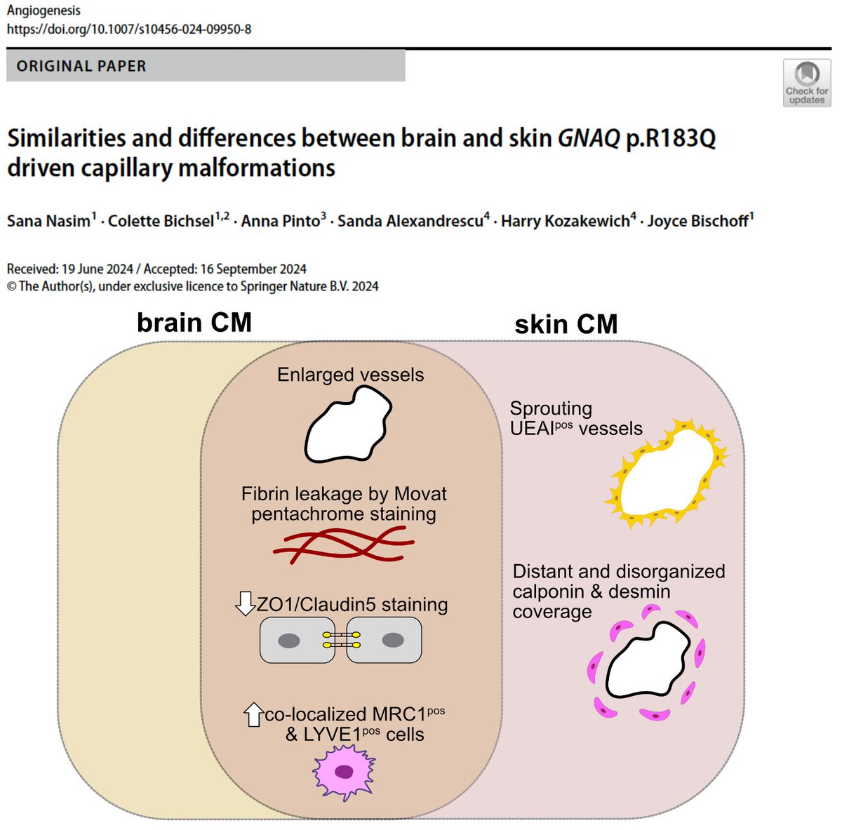 Earlier this year, we showed that there is a unique subset of macrophages (MRC1, LYVE1 and CD68) in the vascular bed of Capillary Malformations. ICAM1 could be one of the potential mechanism for recruitment of these macrophages. link.springer.com/article/10.118…
