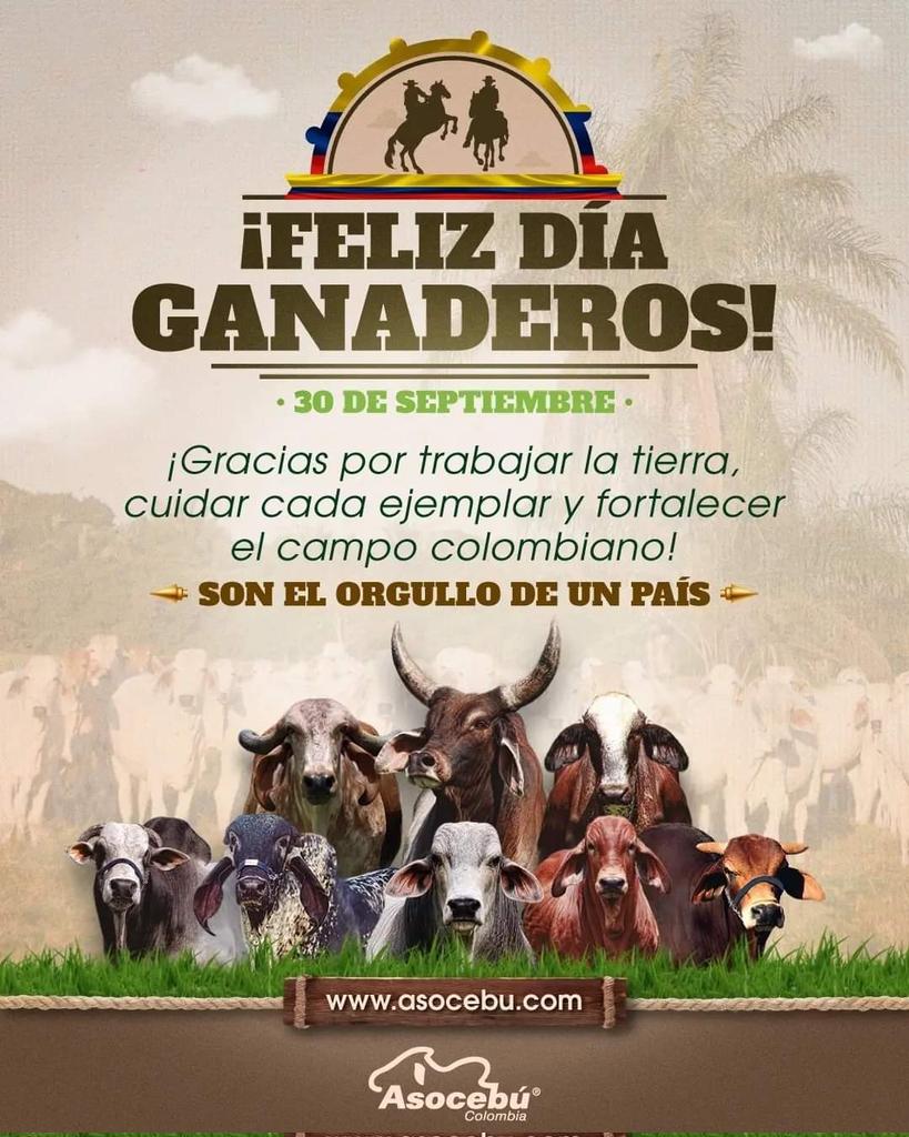 Alvaro Escobar G. (@alvaroescobarg) on Twitter photo 