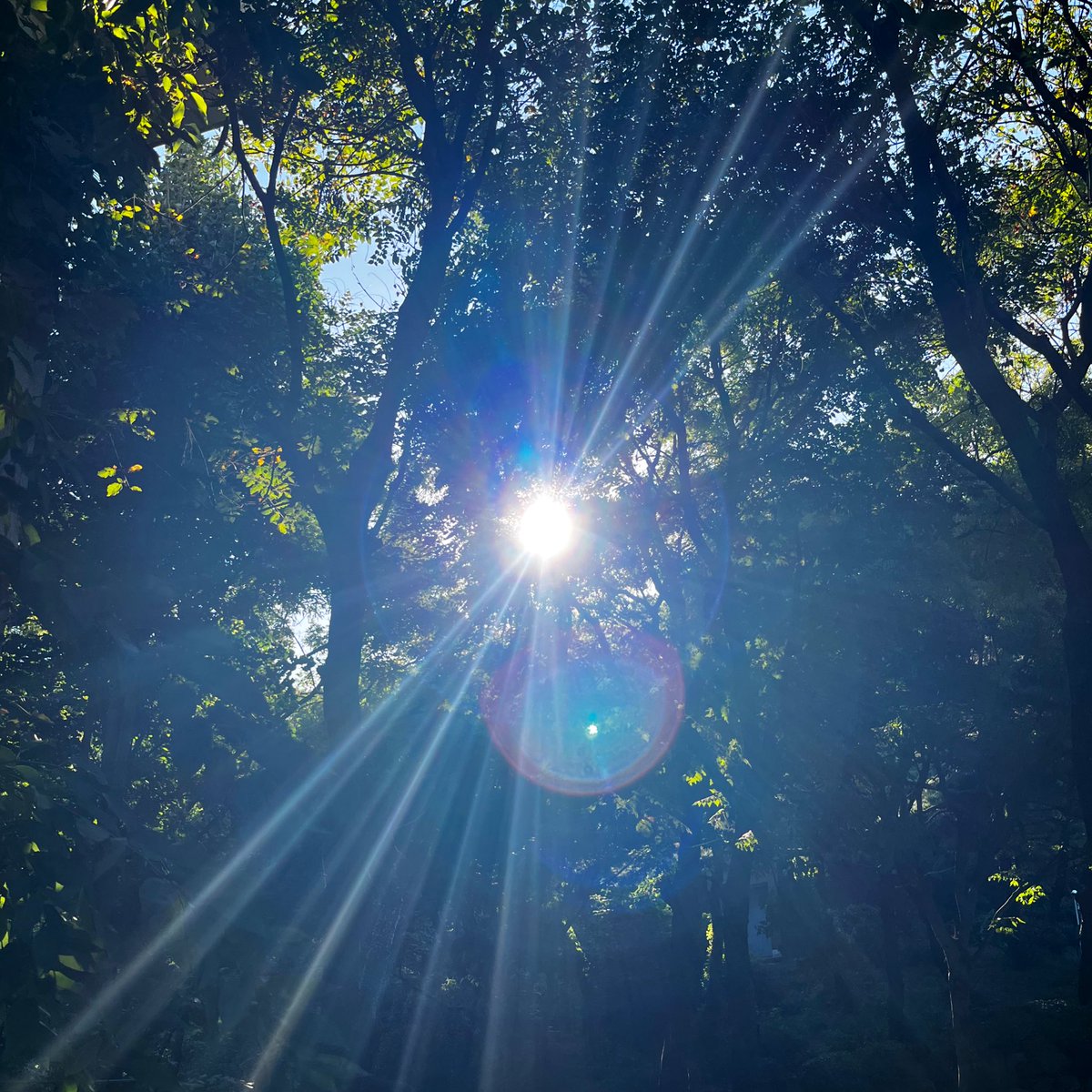 이 햇살을 더 멋진 곳에서 따뜻한 사람들과 같이 보고 싶어.
