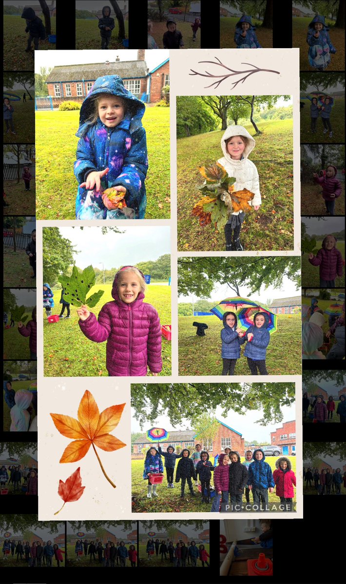 Blwyddyn 1&amp;2 have had a super start to Nature Club this term 🌿🍁🌲🌤️🪺 we have been collecting materials for our minibeast hotels #natureclub #healthyconfidentindividuals