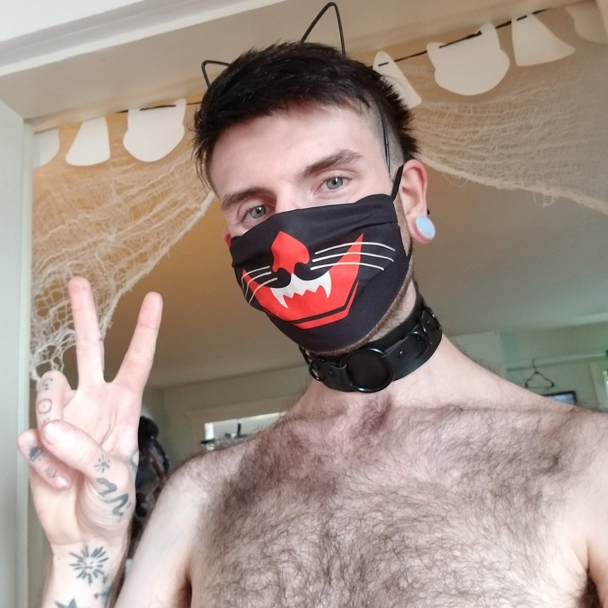 RotBoy69's tweet photo. Covid but make it cat boy https://t.co/lUdIT31eFf