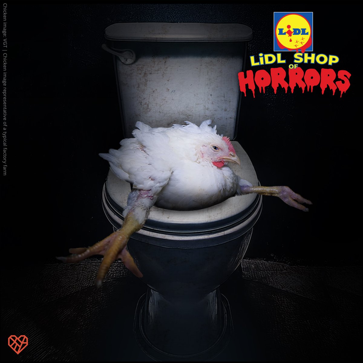 Behind closed doors, there is unseen misery at the #LidlShopofHorrors. Factory farming conditions at farms linked to <a href="/LidlGB/">@LidlGB</a> are a recipe for disaster. Chickens grow too big, too fast, often meaning they are forced to lie in their own waste. thl.link/ShopOfHorrorsX
