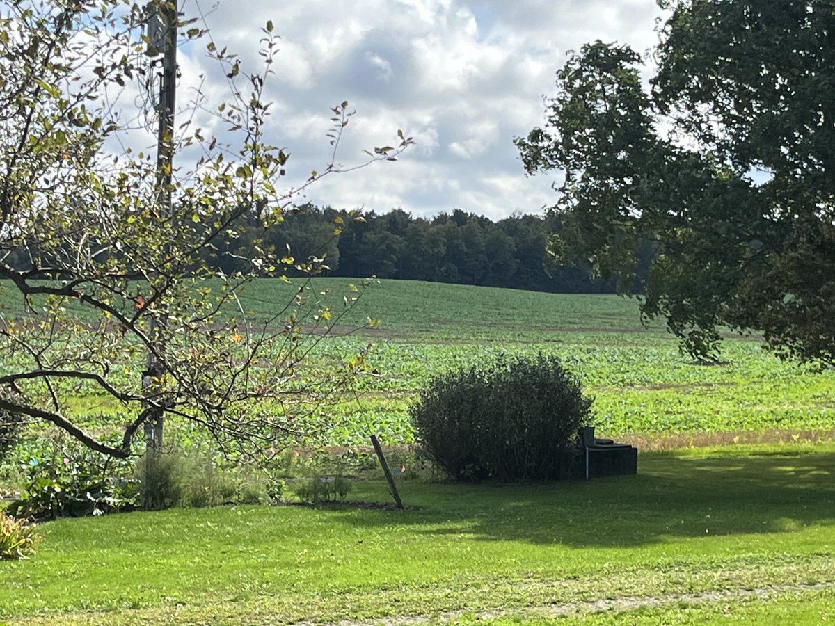 Art Schaafsma tweet media