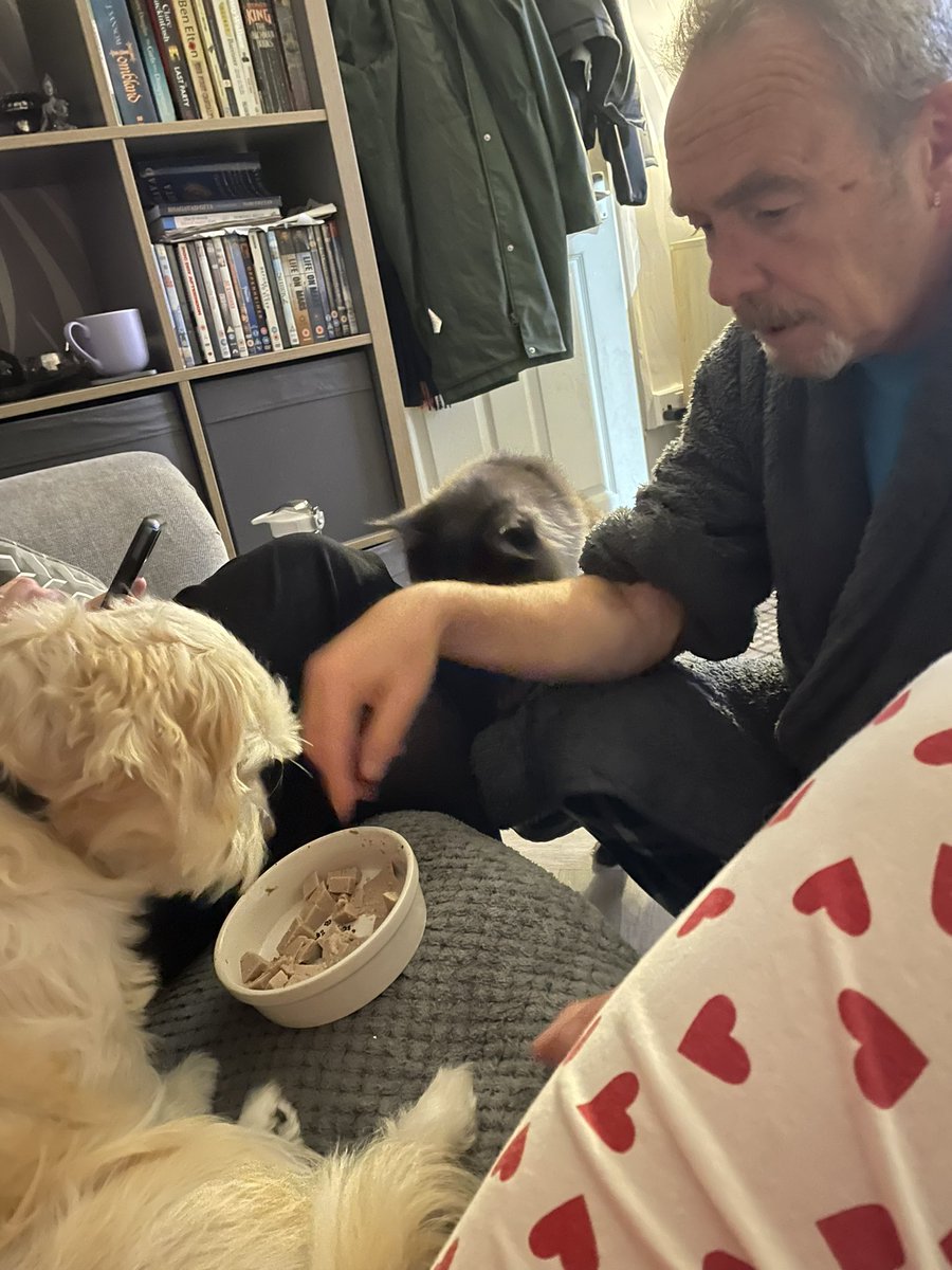 EleJamess's tweet photo. Part twenty one
Yes we do have to hand feed him and give him encouragement
‘Quick dex before fasa eats it’ https://t.co/BGuZeCCXbE