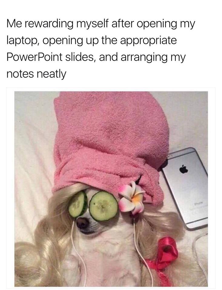 Happy Monday to you all! Let us start it with another meme!

Tomorrow, we will give a small insight into how our Q4 will look like here at DEMOS! Stay tuned! 🥳🤩