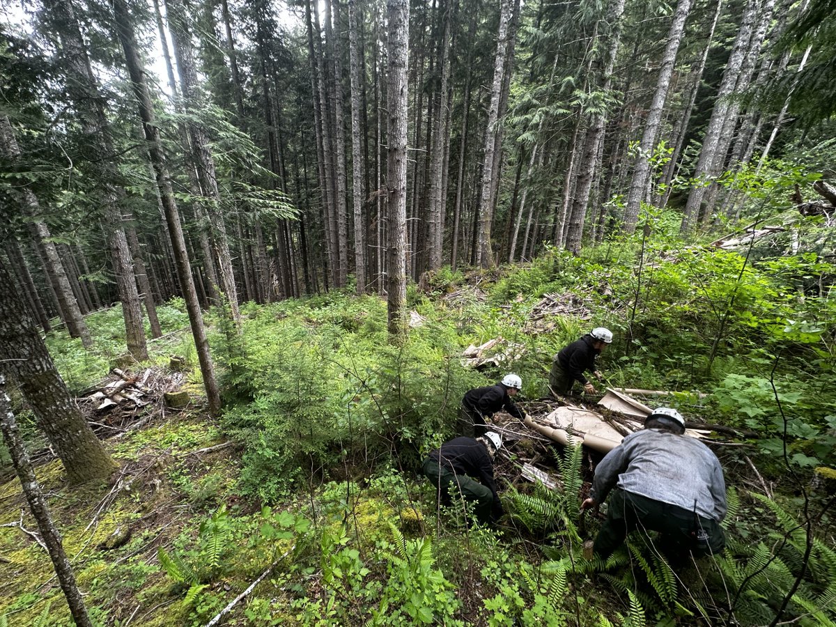 MtBakerSnoNF's tweet photo. Prescribed burning will take place on the MBS today in three separate areas-Upper Finney Chute Timber Sale, Decline Thin, and Darrington Seed Orchard.
#MBS #USDAForestService https://t.co/JNrSm2fSX3