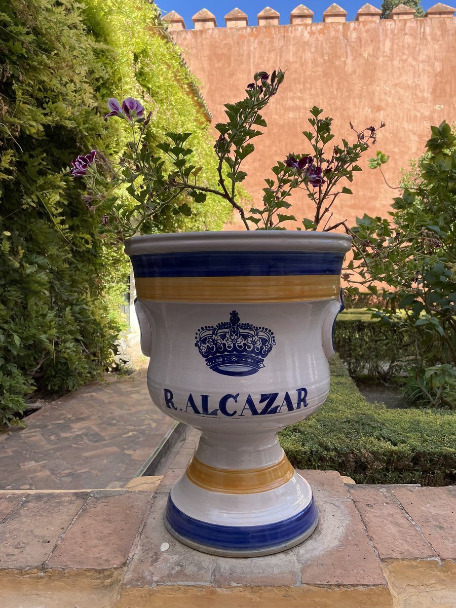 George Coxon💚 tweet media