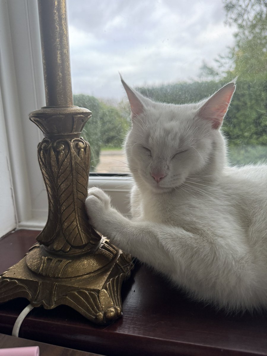 Eve Lloyd tweet media