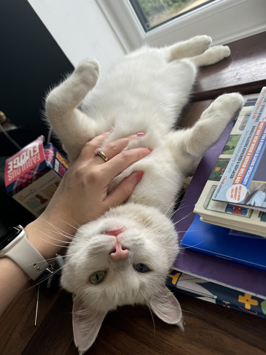 Eve Lloyd tweet media