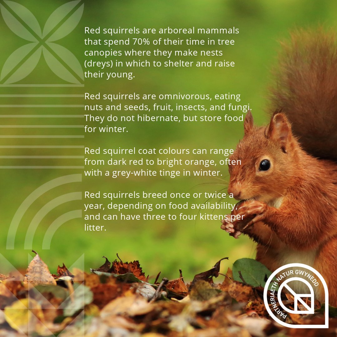 Partneriaeth Natur Gwynedd Partnership tweet media