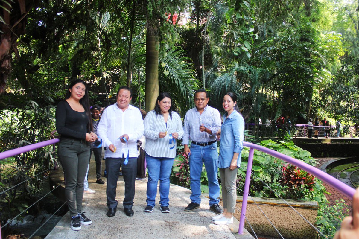 AnpSds's tweet photo. ENTREGA SDS OBRAS DE REHABILITACIÓN DEL PARQUE BARRANCA CHAPULTEPEC

•Se recuperaron espacios, como: la Trotapista, Casa del “Tío Chueco”, así como el área de recreación y juegos infantiles

https://t.co/g8RAQIkOW8 https://t.co/2sxSBt5H16