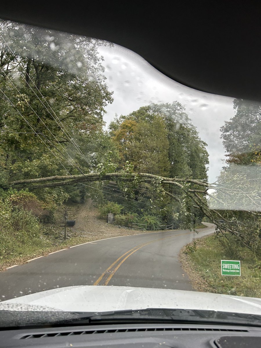 BlueRidgeTurf tweet media