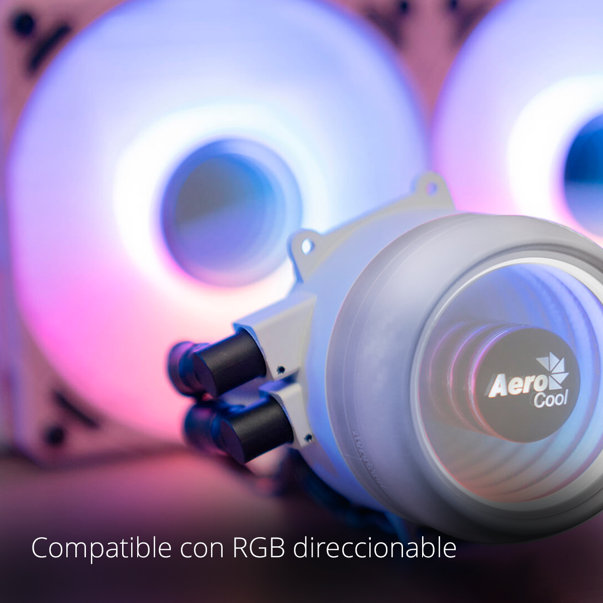 Importación Digital tweet media