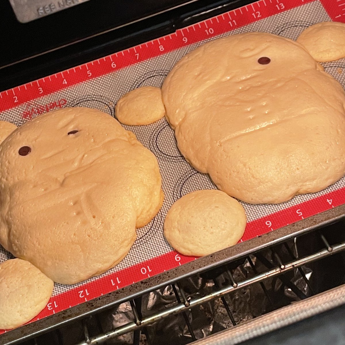 L4ZY🐾🐈‍⬛ tweet media