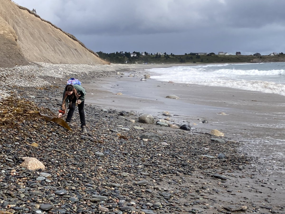 canadacana's tweet photo. Hirtle’s Beach in Blue Rocks Nova Scotia is an exquisite #LivingBeach that was white sand crescent but mostly all spectacular cobbles when we visited last week one year after Hurricane Lee deposited them there from the seafloor bed. Total feast for the senses. Wear sturdy boots! https://t.co/szYaiyrJHH